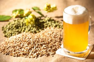 HOPS MANUFACTURER TAKES ON SPACE AT MALVERN HILLS SCIENCE PARK 1 Hops Manufacturer Takes On Space At Malvern Hills Science Park