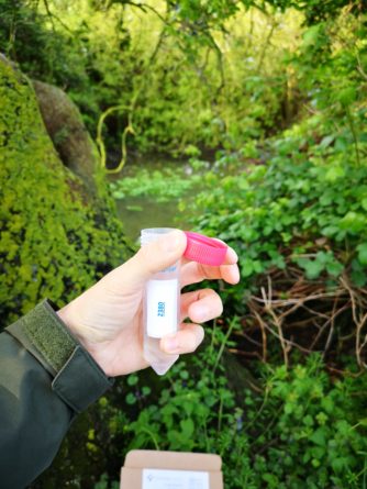 ECOLOGISTS WARN OF TEN-WEEK WINDOW TO SURVEY FOR NEWT PRESENCE TO AVOID DEVELOPMENT DELAYS 1 ECOLOGISTS WARN OF TEN-WEEK WINDOW TO SURVEY FOR NEWT PRESENCE TO AVOID DEVELOPMENT DELAYS
