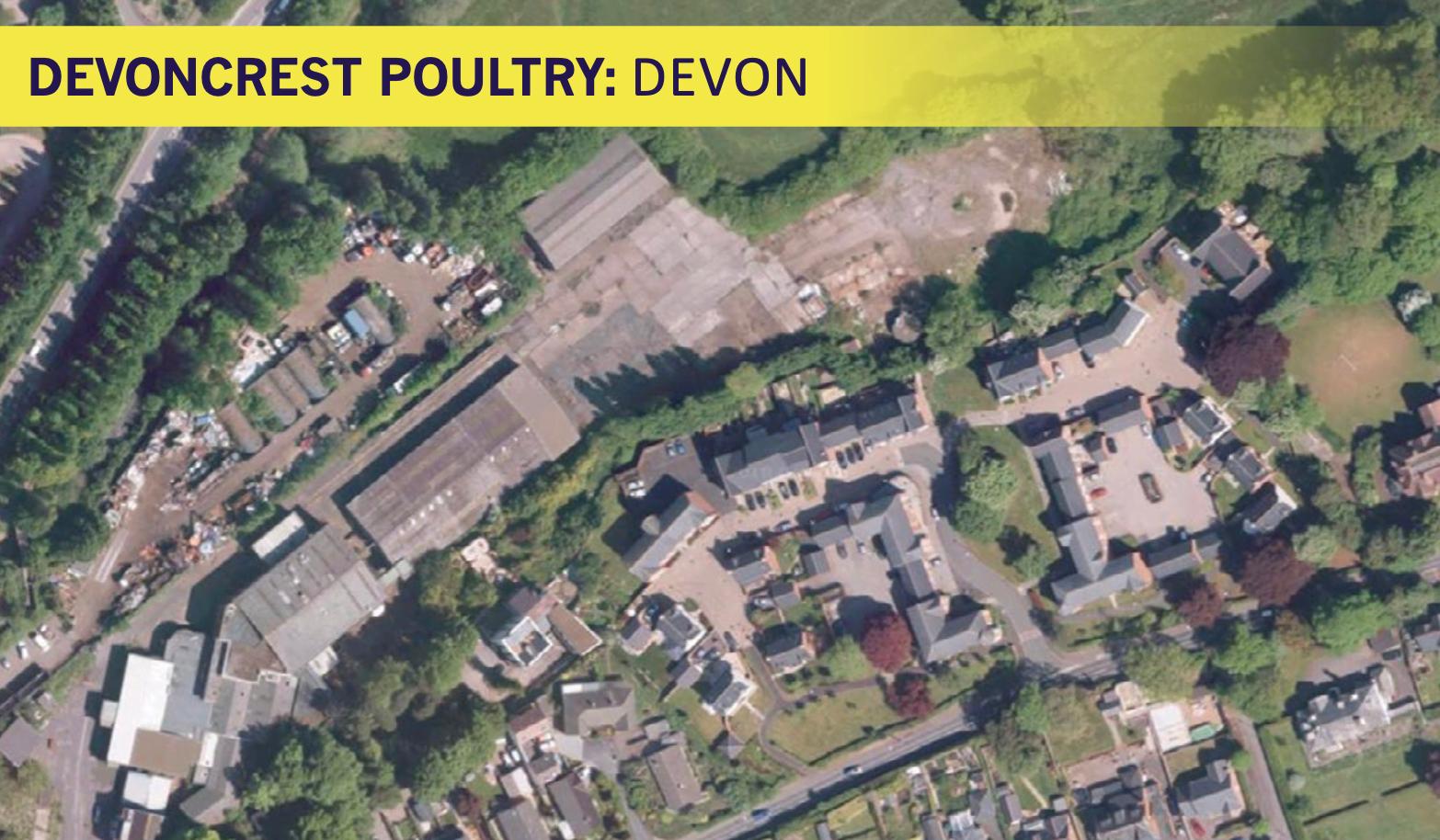 devon